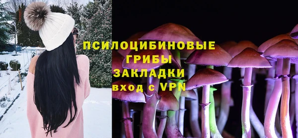 шишки Алексеевка
