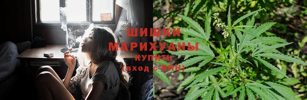 шишки Алексеевка
